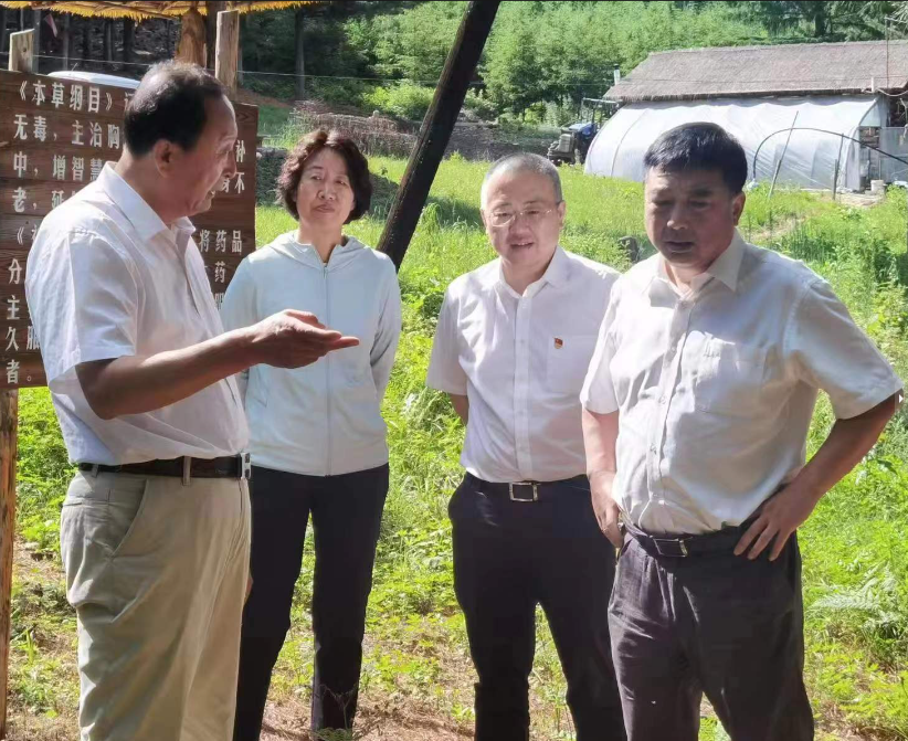 2022年7月18日，吉林省农科院院长马国成在县政府副县长温嘉伟陪同下来我“杉芝源”，调研指导工作。