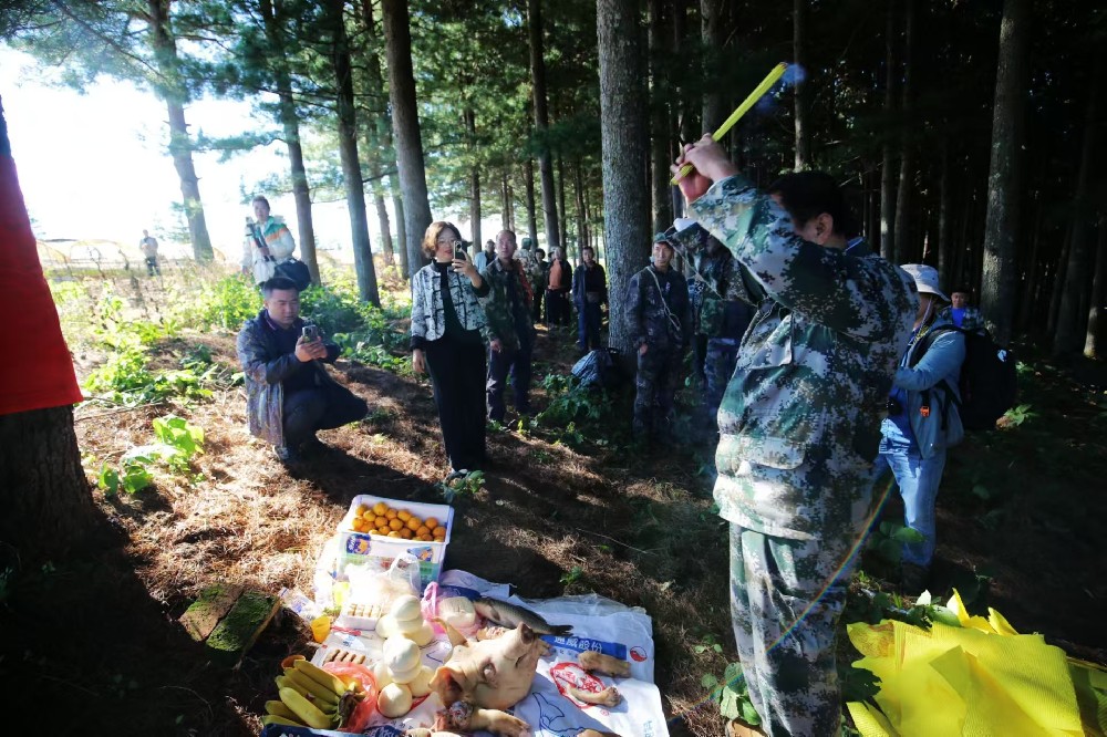 2024年9月8号，开山大吉，敬山神，长白山杉芝源全体员工敬山开始采集红松松果